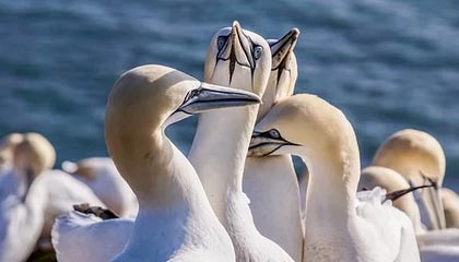 爱游戏下载-世界青年足球锦标赛中国队稳步晋级，世界足球青年俱乐部