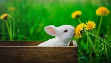 爱游戏下载-世界青年足球锦标赛中国队稳步晋级，世界足球青年俱乐部